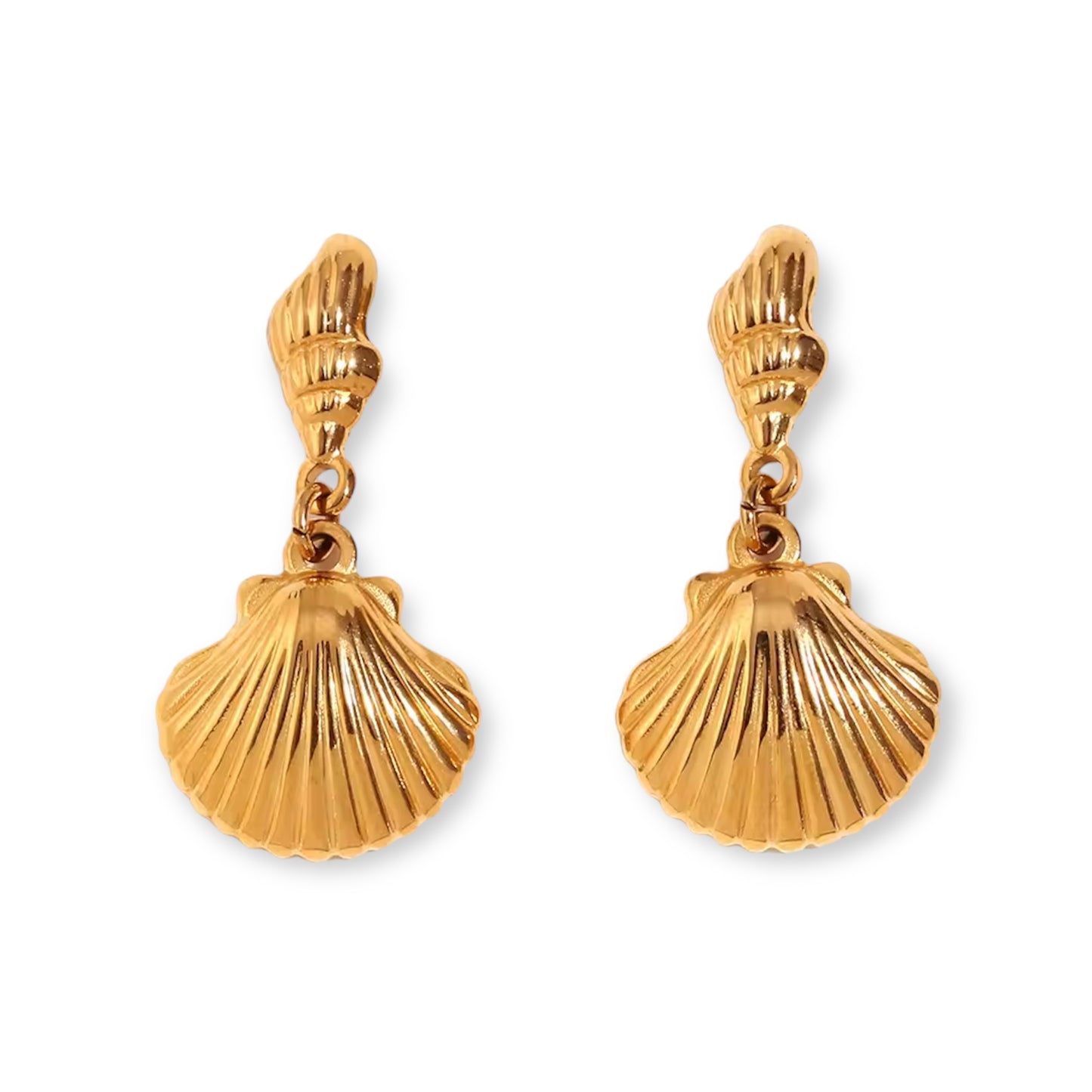 Shelly | Örhängen med snäckor